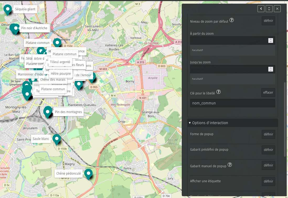 Capture d’écran de la carte et du panneau de personnalisation